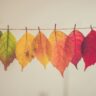 assorted-color lear hanging decor